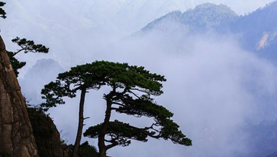 叶剑英元帅夫人吴博逝世，享年106岁