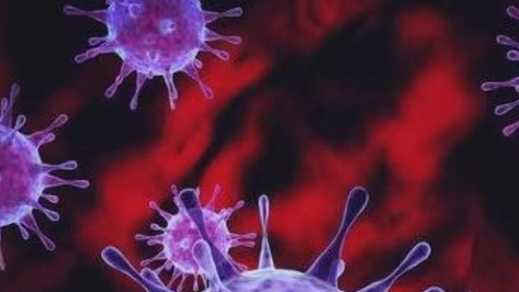 诺如病毒引起一地74名学生呕吐腹泻 感染高发期该如何科学防护？