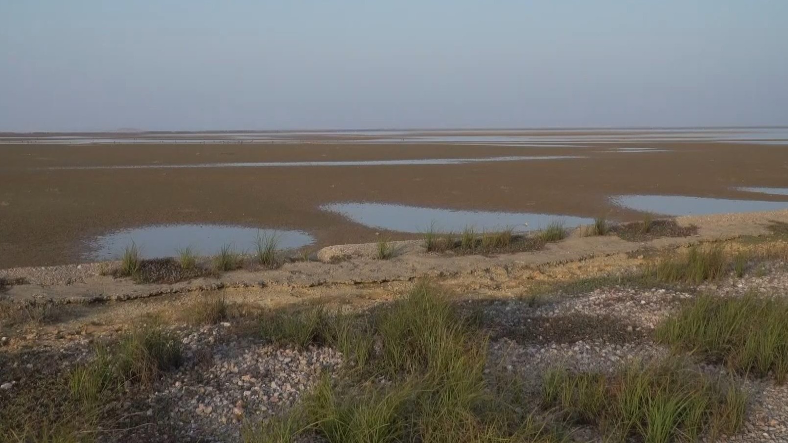我国最大淡水湖鄱阳湖水位持续下降 已不足1000平方公里
