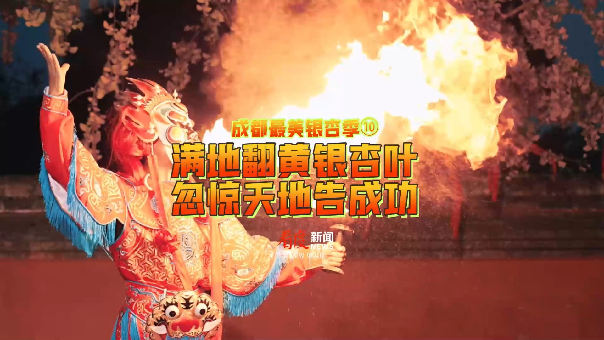 视频 | 满地翻黄银杏叶 忽惊天地告成功