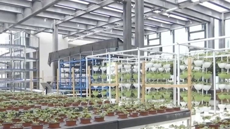 世界首例！在成都投入使用