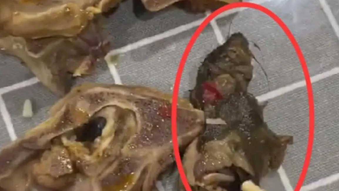 又是老鼠？官方通报“羊肉火锅外卖疑似吃出半截老鼠”
