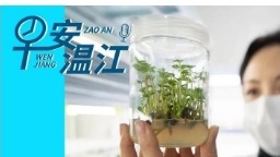 早安温江丨新闻来了！