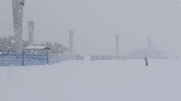 烟台威海遭遇极端性冷流暴雪，网友：宛如北极科考！
