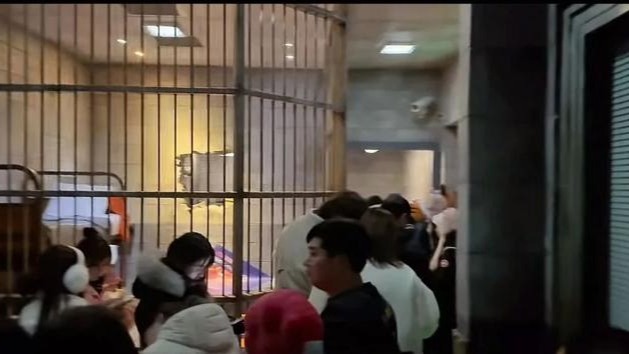 上海迪士尼度假区：疯狂动物城“热力追踪”项目暂时停运