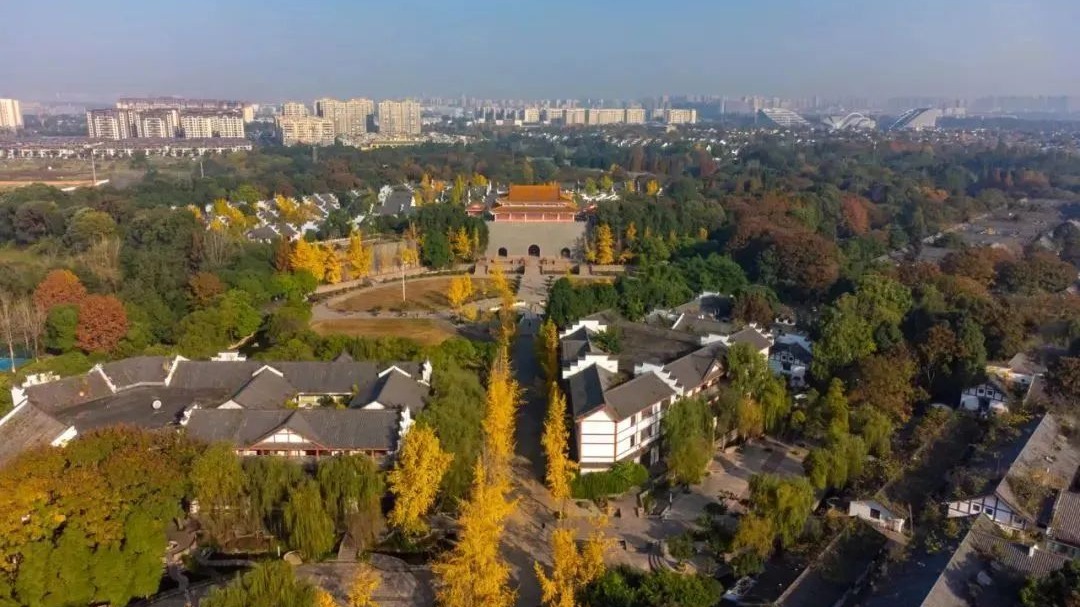 冬日漫漫亦灿灿，我在温江很想你~