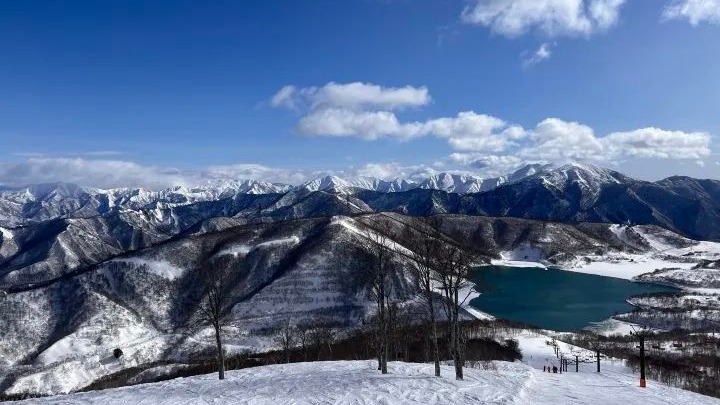 中国女游客在日本滑雪身亡：疑摔倒后吸入粉雪窒息