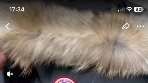 捐赠地震灾区的加拿大鹅羽绒服被倒卖？多方回应→