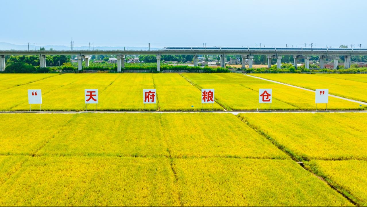 行动方案出炉！四川将这样推进农村一二三产业融合发展