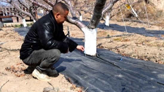 乡村振兴看阿坝 | 汶川县：数字赋能 培育乡村特色产业高质量发展