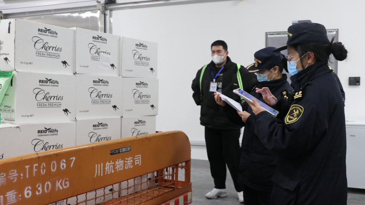 视频｜1.4吨进口车厘子入境！成都天府国际机场综合性指定监管场地启用