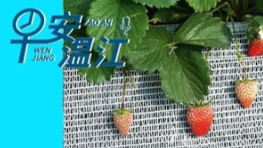 早安温江丨新闻来了！