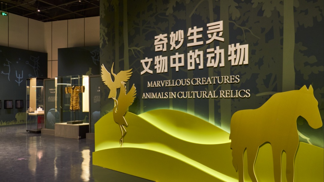 视频｜“奇妙生灵——文物中的动物”特展在成都自然博物馆开幕
