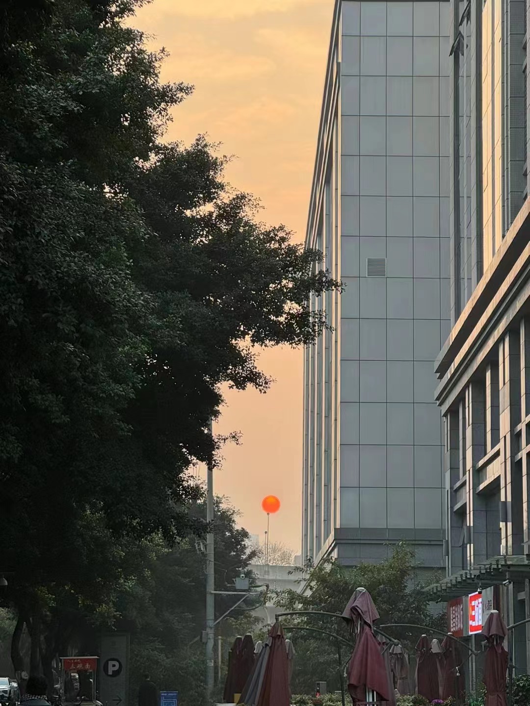 微信图片_20240108094330.jpg