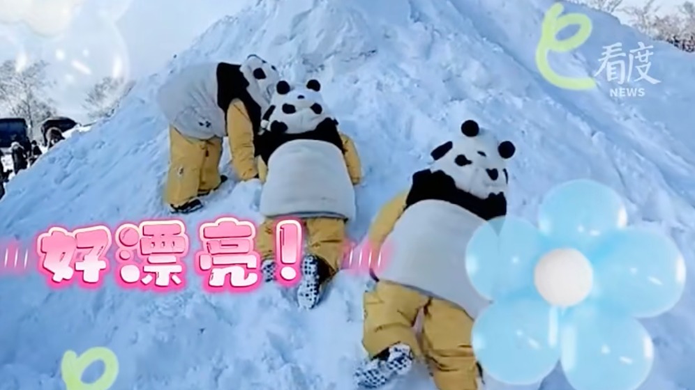 视频｜勇闯哈尔滨3天  成都“小熊猫”嗨翻冰雪世界！