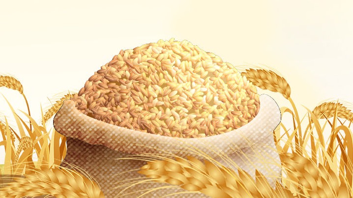 2023年全国粮食收购量超4亿吨