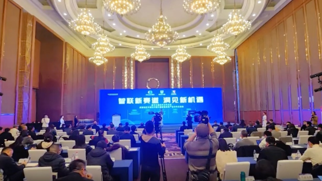 视频｜现场精彩纷呈 第21届中国国际软件合作洽谈会启幕