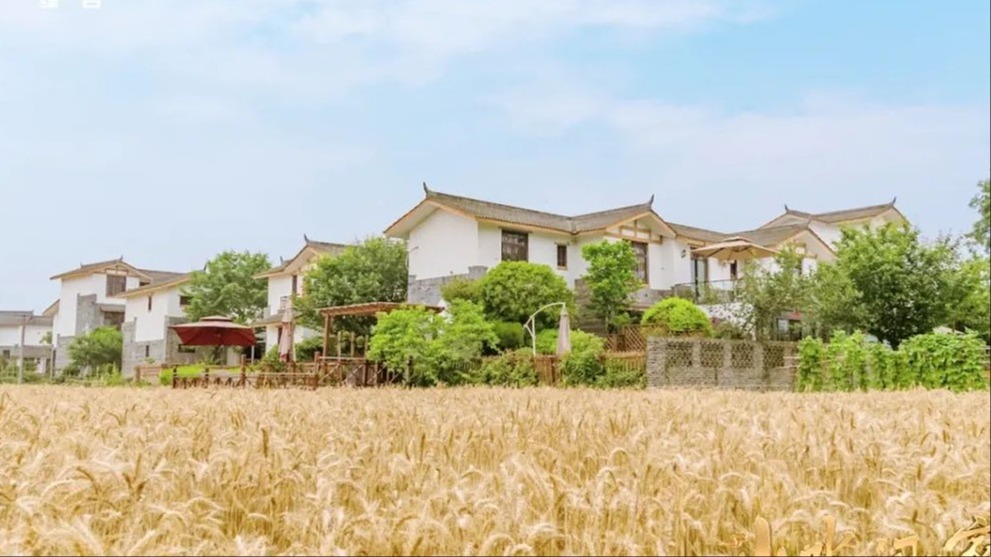 央媒关注｜四川打造新时代更高水平的“天府粮仓”