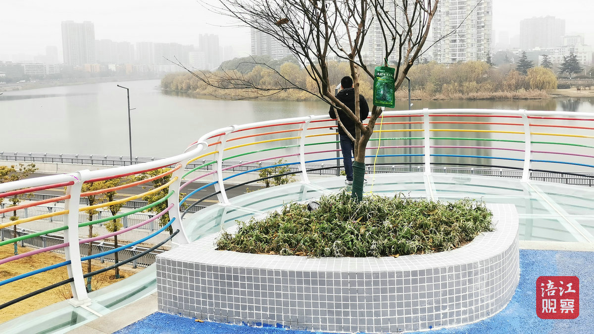 “兜”起幸福时光！2023年，绵阳上新50个口袋公园