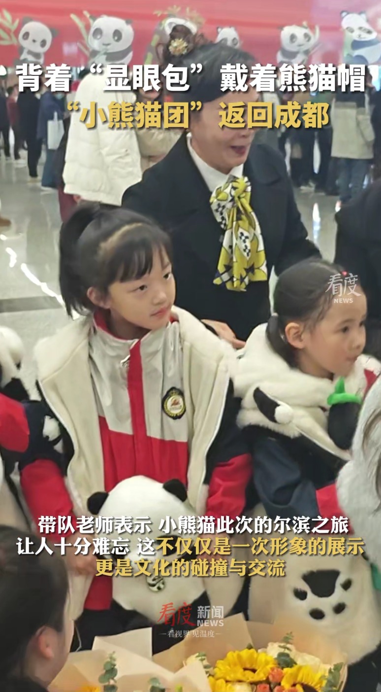 视频｜“勇闯尔滨”之旅结束！被尔滨宠爱的“小熊猫”团回家啦