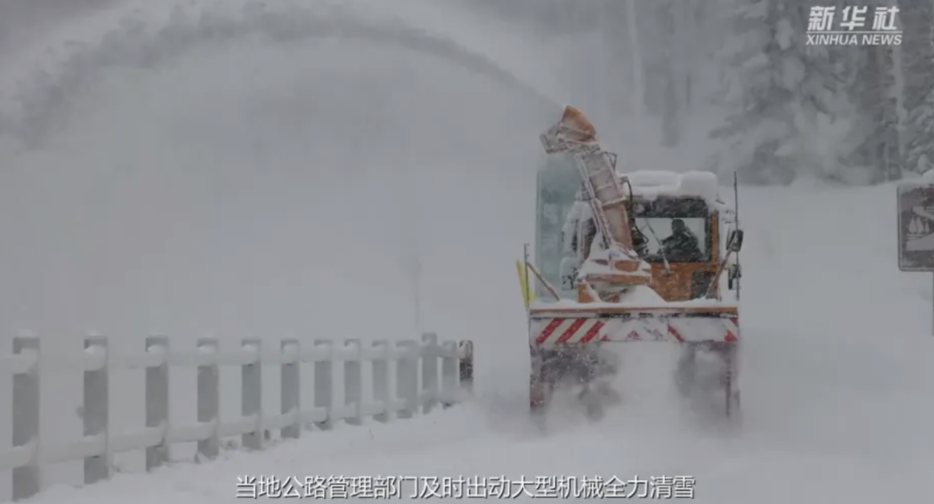 QQ20240114-134859@2x.png