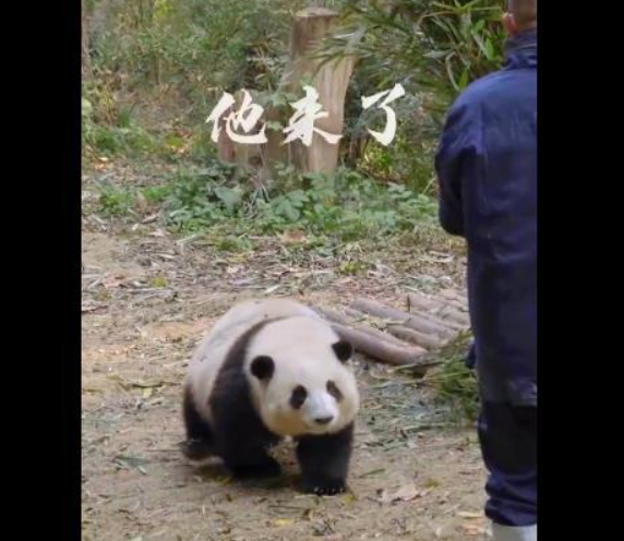 截图20240115103953.png