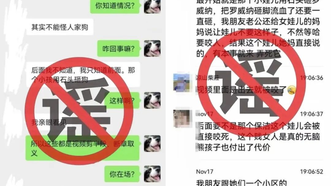 “小女孩用石头砸罗威纳犬”造谣者被罚，四川警方公布整治网络谣言典型案例！