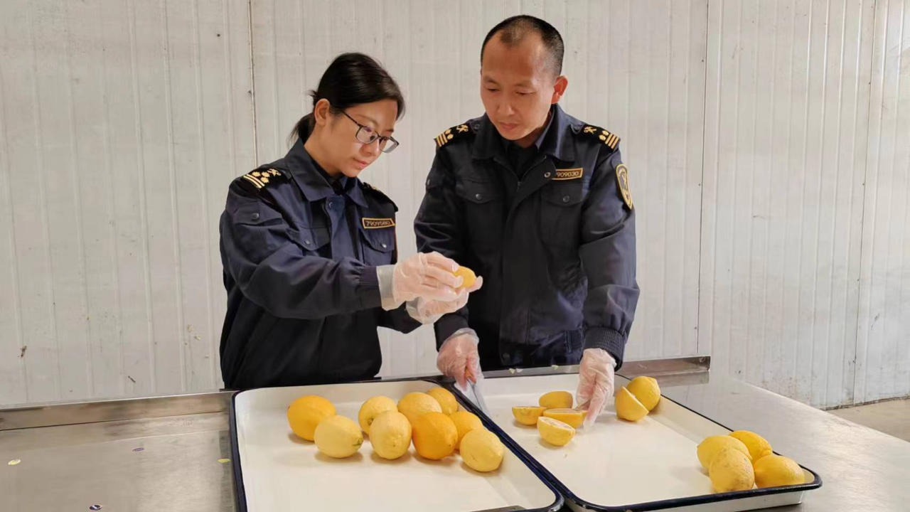 出口货值1.28亿元！安岳柠檬成为四川首个出口破亿元的新鲜果品