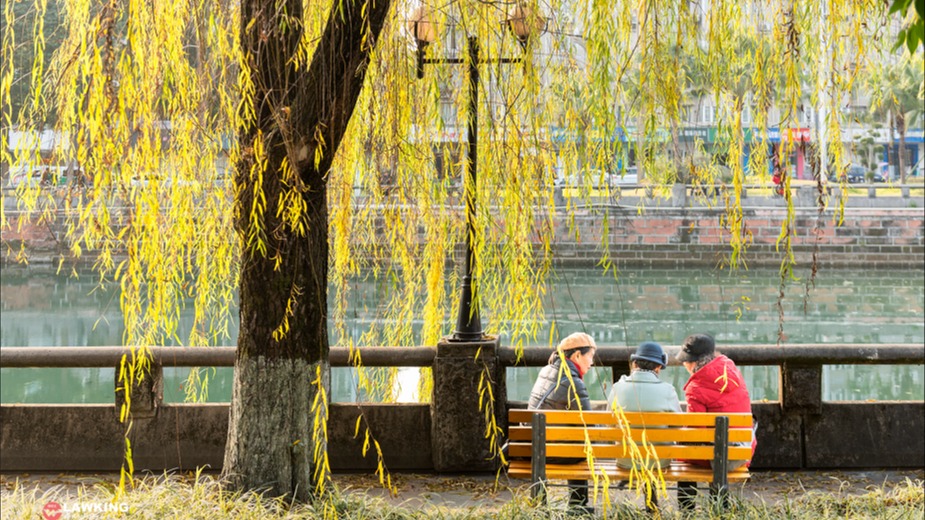 @尔滨老铁，我在温江等你！