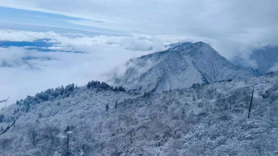 注意路况！今日蓉城有分散雨夹雪或小雪 出行谨防道路湿滑和结冰