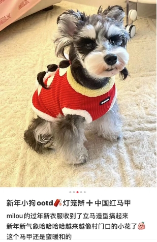 微信截图_20240125104320.png