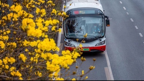 本月27日起，成都公交临时暂停多条线路