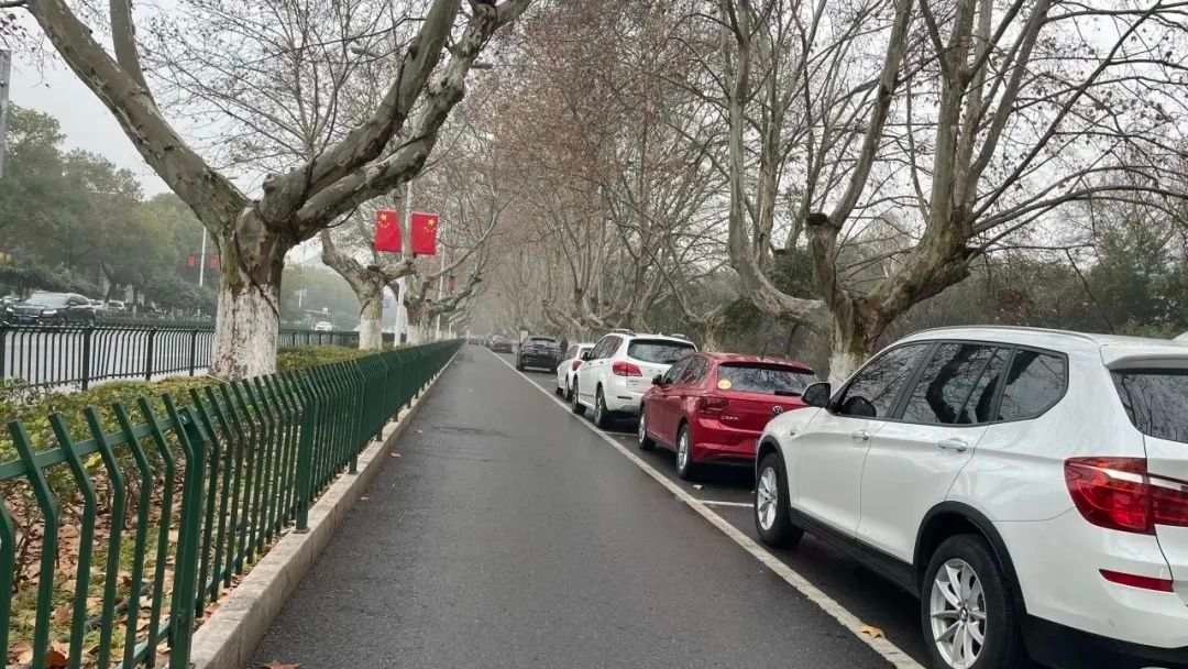 江浙多地宣布春节假期道路停车位免费