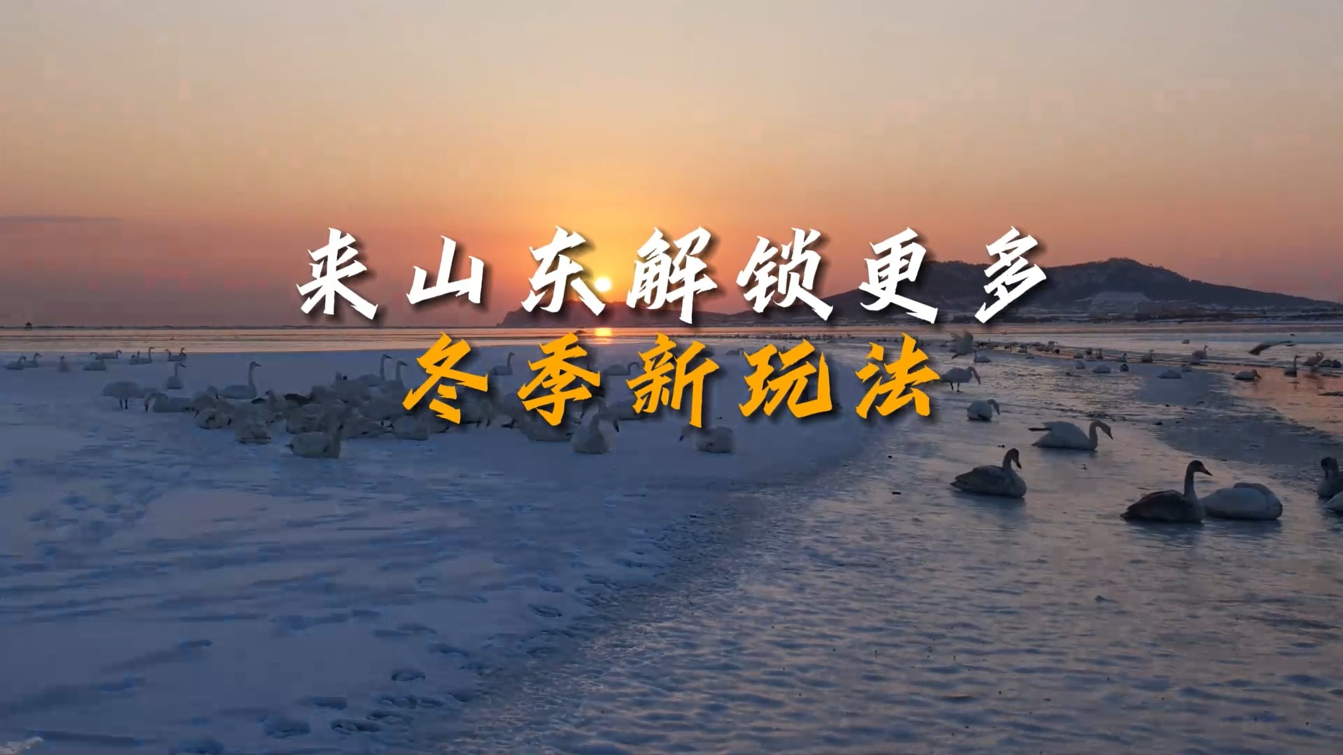 视频 | 走啊！到山东来一场Countrywalk 解锁乡村旅游新活力