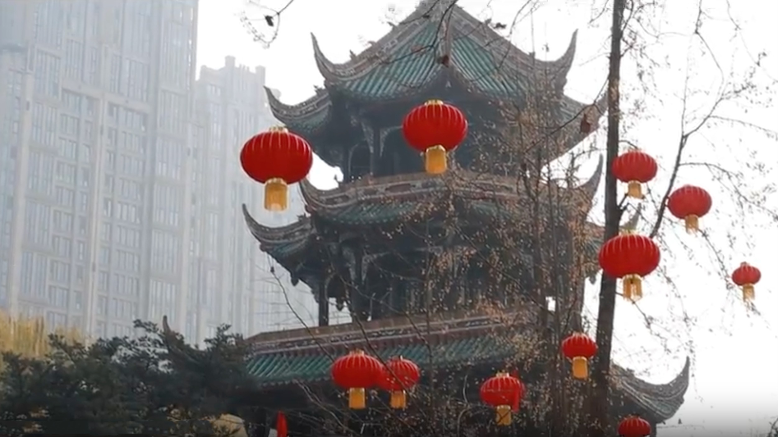 视频｜“龙行天下 以春咏城” 2024深蓉城市春晚开机花絮来啦！