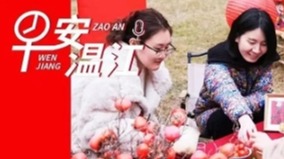 早安温江丨大年初八，龙光焕发！