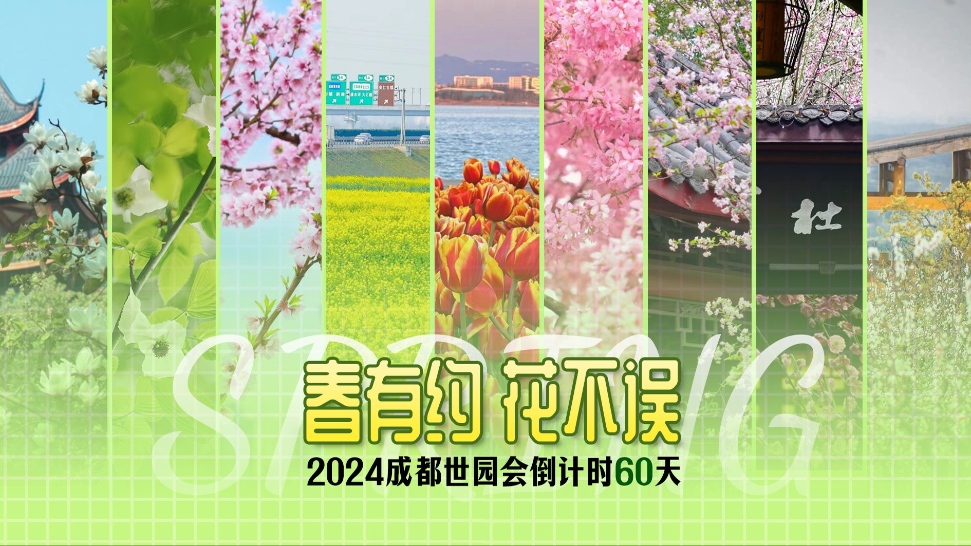 春有约 花不误｜锦官花重正惬意 邀你共赴世园之约 