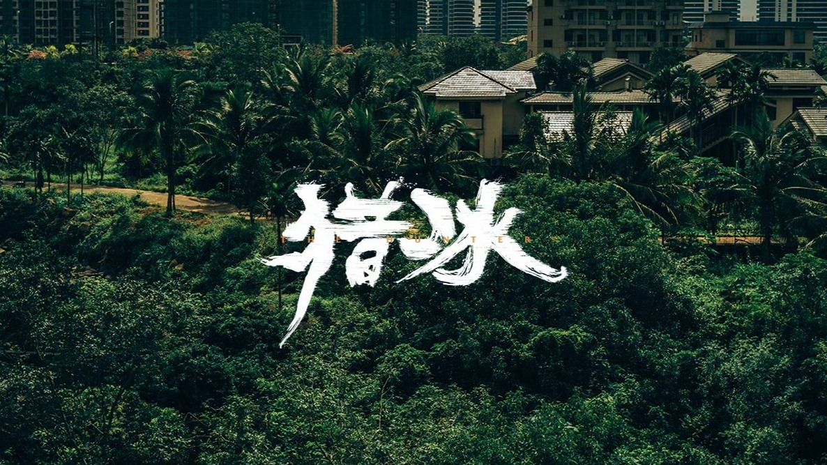 出道三年首次主演电视剧，任正非小女儿姚安娜与张颂文上演“猫鼠大战”