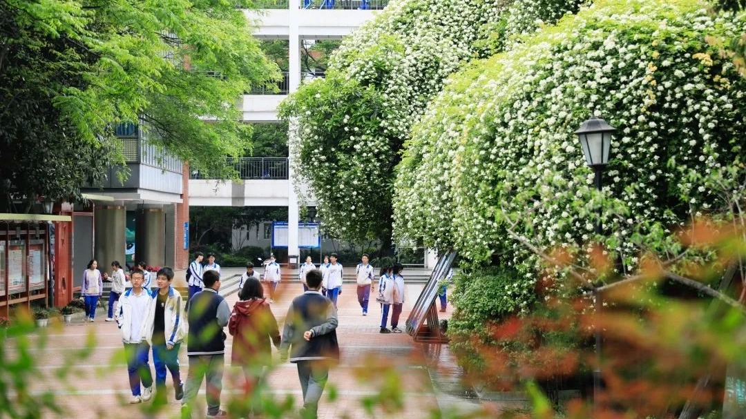 教育部公布中小学人工智能教育基地名单 成都七中、双林小学等入选