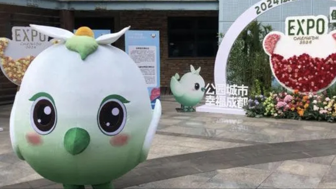 视频｜正月十五闹元宵！成都世园会吉祥物“桐妹儿”现身熊猫基地为“花花”送团圆