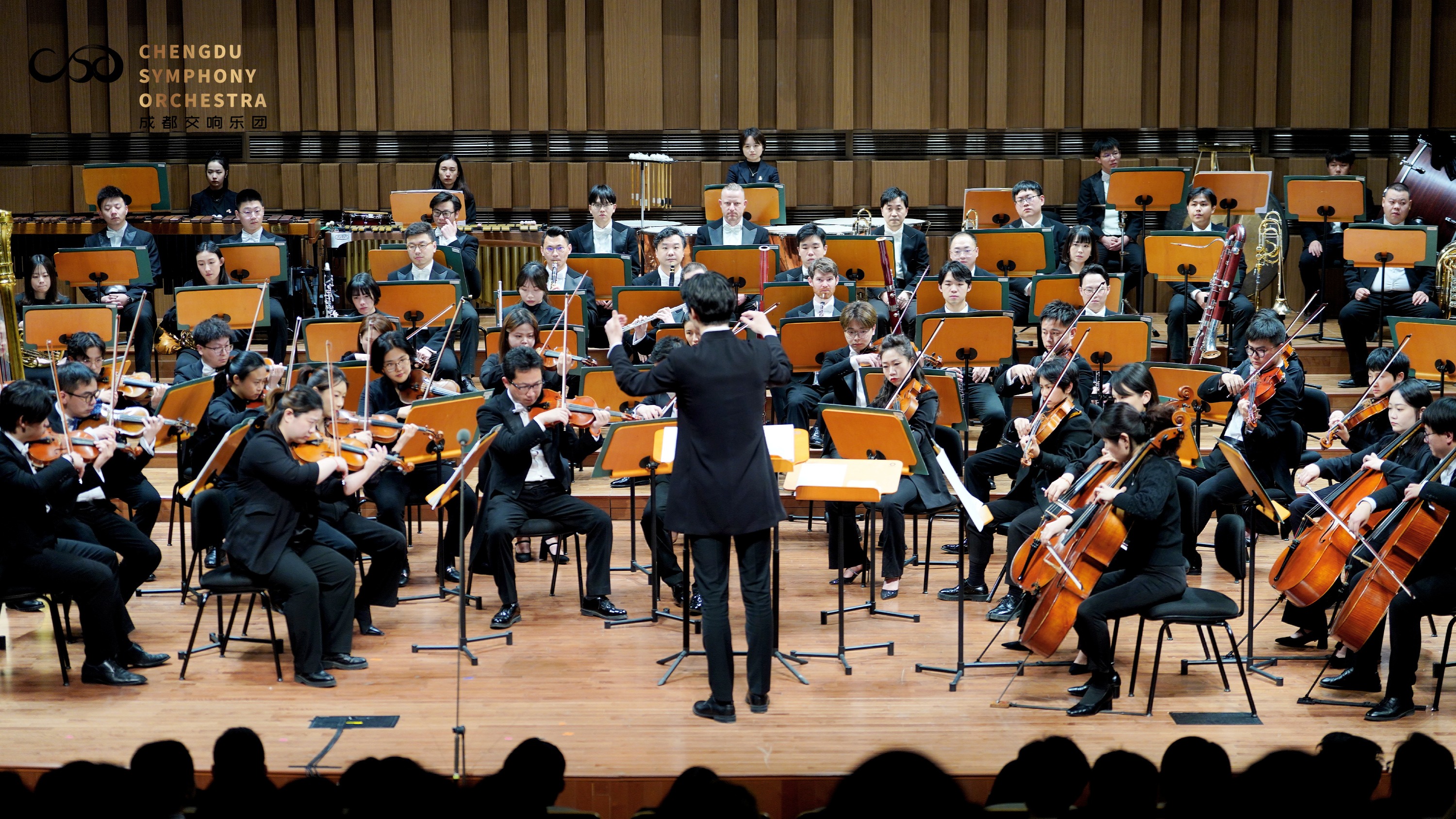 一览千年！叶小纲作品音乐会上演艺术盛宴