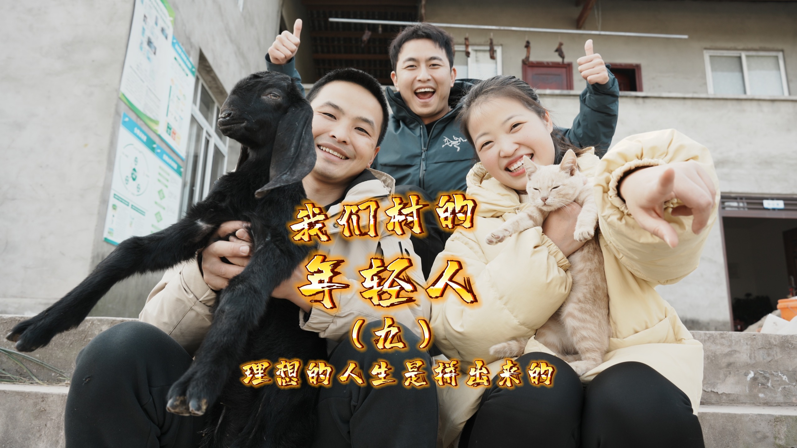 我们村的年轻人⑨｜“养羊人”李勇：辞职返乡“拼”出理想人生