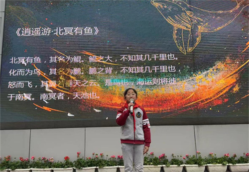 鲲鹏的故事.jpg