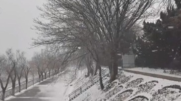 近期我国冰冻雨雪天气为何频发？原来与这个气象有关