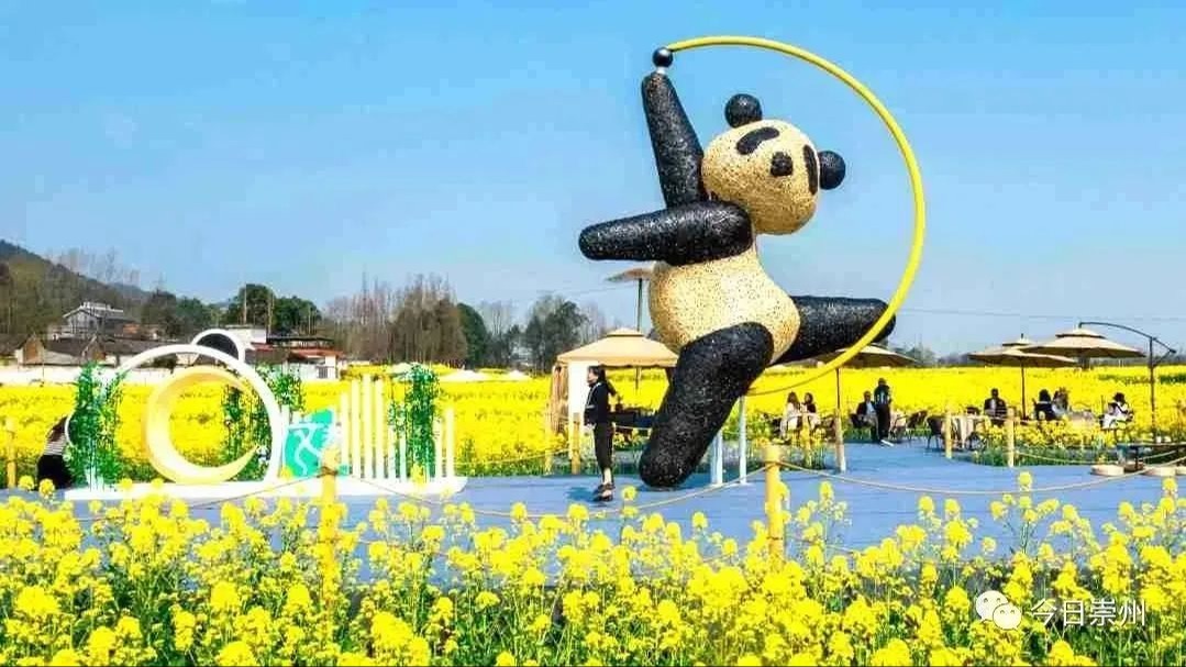 演出！展览！活动！成都3月耍法攻略，看这一篇就够了！