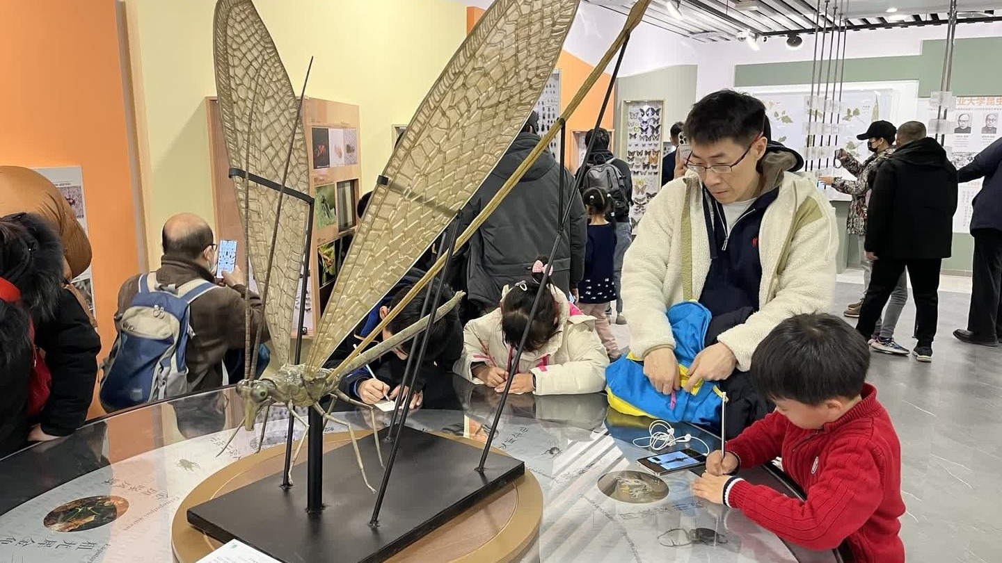 又有多所首都高校面向社会开放，清华工作日可参观！