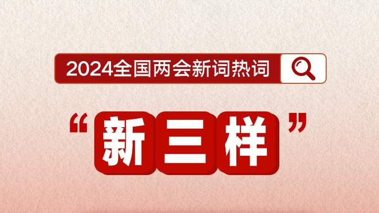 2024年全国两会新词热词