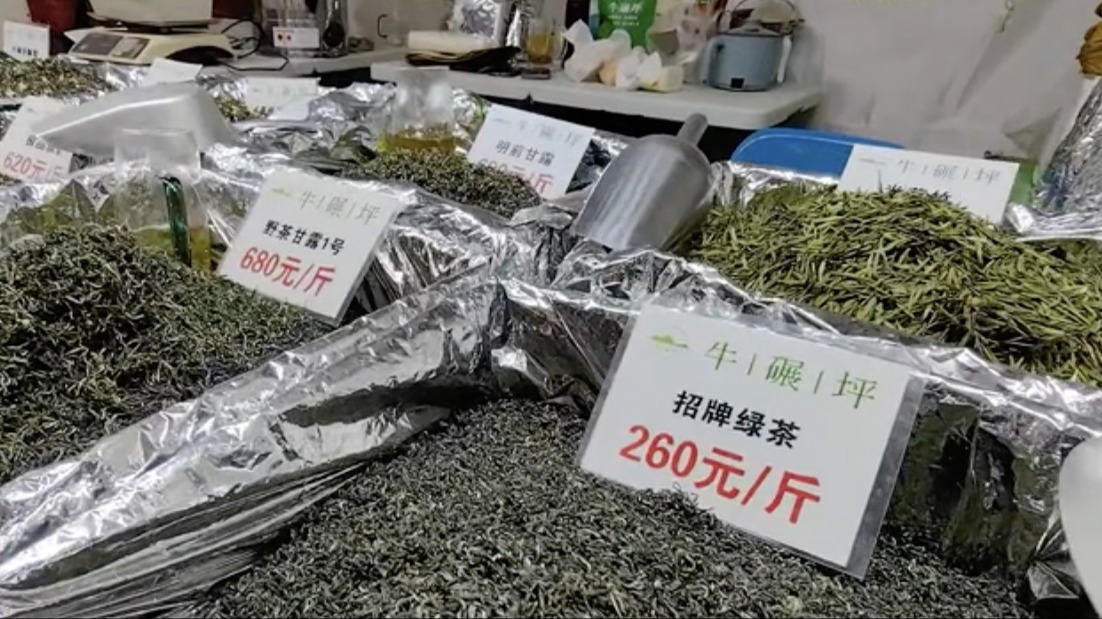 视频｜满满都是春天的味道！2024早茶亮相春季第一展