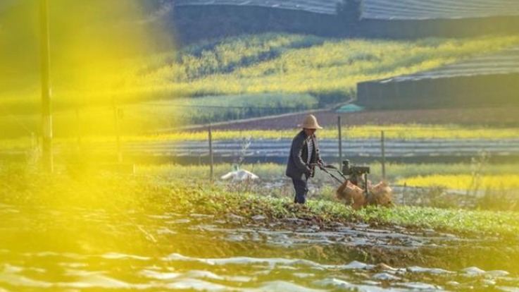 8.3亿元中央财政农业生产防灾救灾资金下达