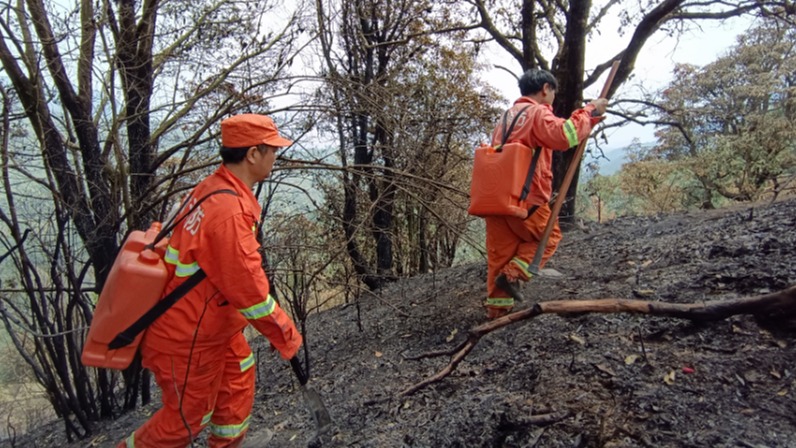 云南新平山火全部扑灭  未造成人员伤亡